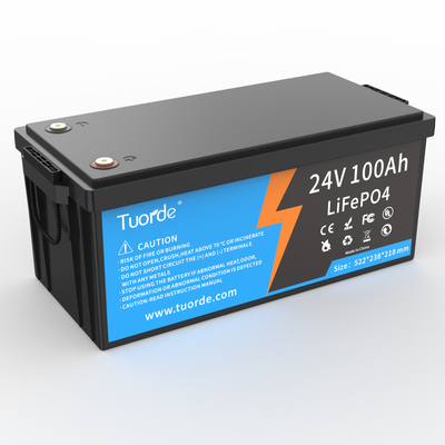 24V 25,6V 100Ah Oplaadbare Lithium-batterij met diepe cyclus